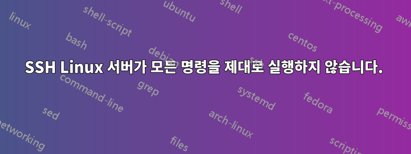 SSH Linux 서버가 모든 명령을 제대로 실행하지 않습니다.