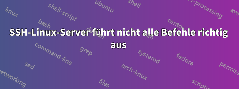 SSH-Linux-Server führt nicht alle Befehle richtig aus