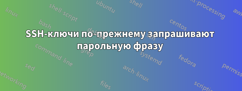 SSH-ключи по-прежнему запрашивают парольную фразу