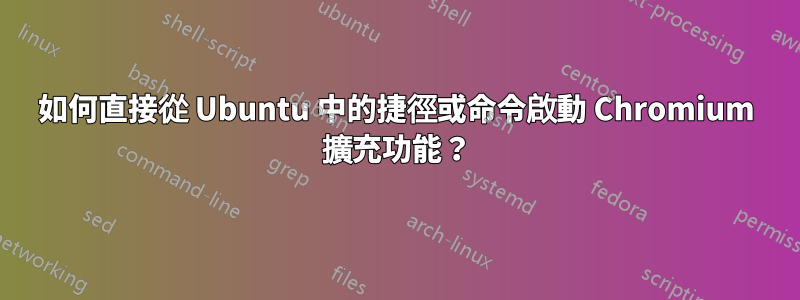 如何直接從 Ubuntu 中的捷徑或命令啟動 Chromium 擴充功能？