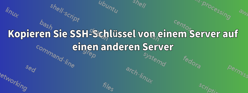 Kopieren Sie SSH-Schlüssel von einem Server auf einen anderen Server