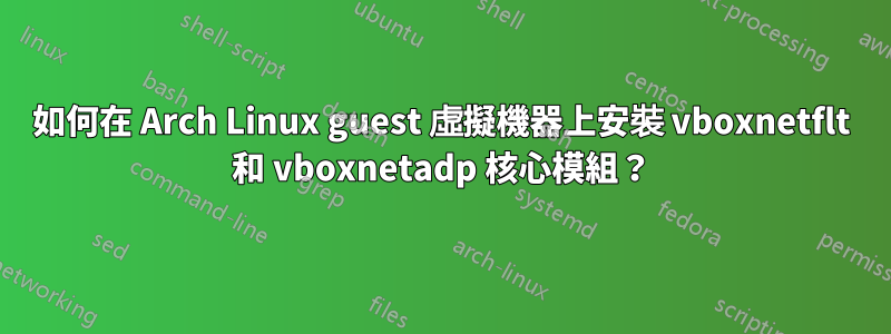 如何在 Arch Linux guest 虛擬機器上安裝 vboxnetflt 和 vboxnetadp 核心模組？