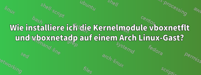 Wie installiere ich die Kernelmodule vboxnetflt und vboxnetadp auf einem Arch Linux-Gast?