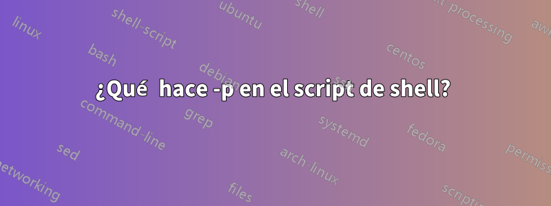 ¿Qué hace -p en el script de shell?