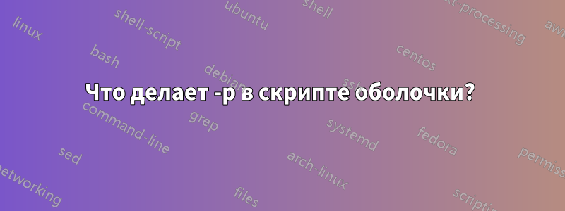 Что делает -p в скрипте оболочки?