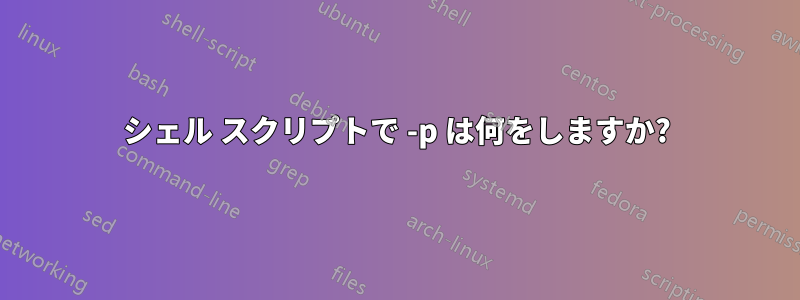 シェル スクリプトで -p は何をしますか?