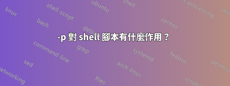 -p 對 shell 腳本有什麼作用？