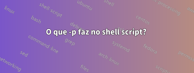 O que -p faz no shell script?