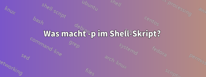 Was macht -p im Shell-Skript?