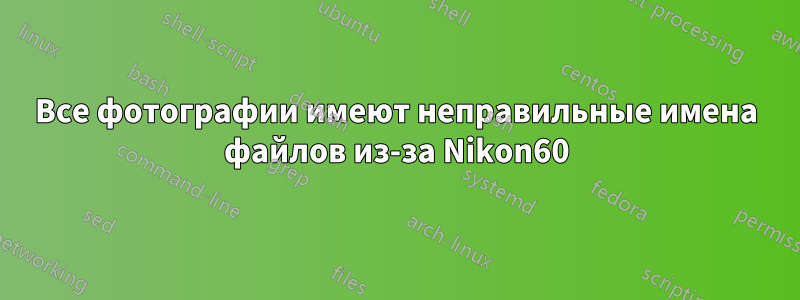 Все фотографии имеют неправильные имена файлов из-за Nikon60