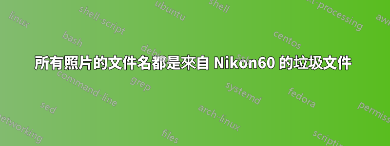 所有照片的文件名都是來自 Nikon60 的垃圾文件