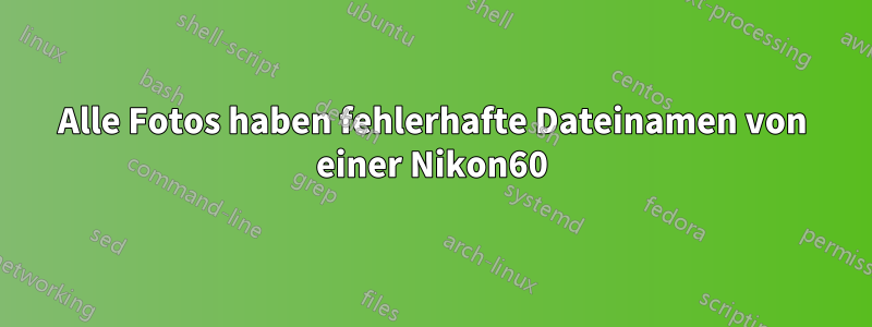 Alle Fotos haben fehlerhafte Dateinamen von einer Nikon60