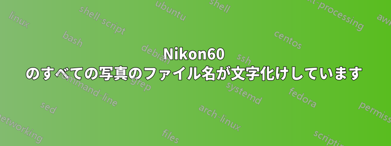 Nikon60 のすべての写真のファイル名が文字化けしています