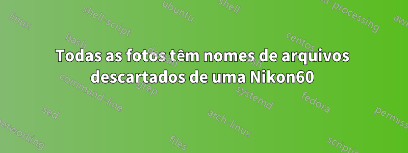 Todas as fotos têm nomes de arquivos descartados de uma Nikon60