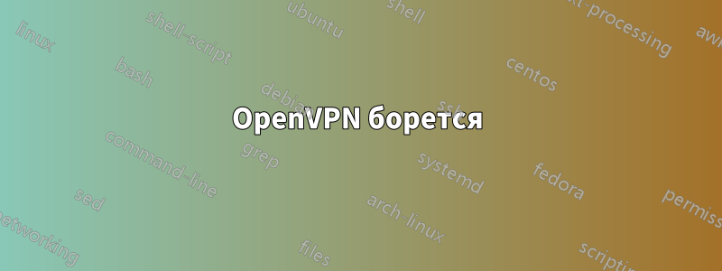 OpenVPN борется