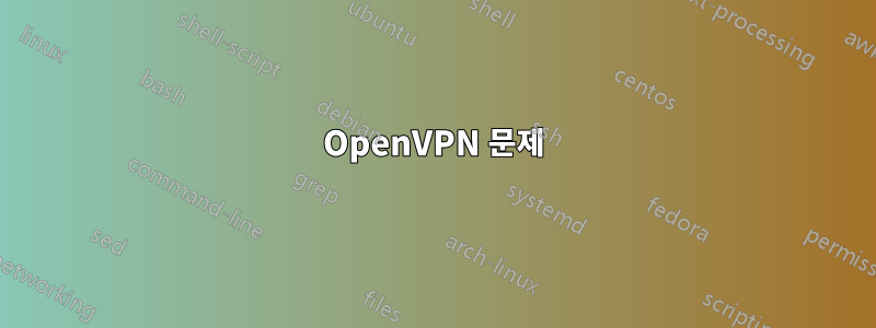 OpenVPN 문제