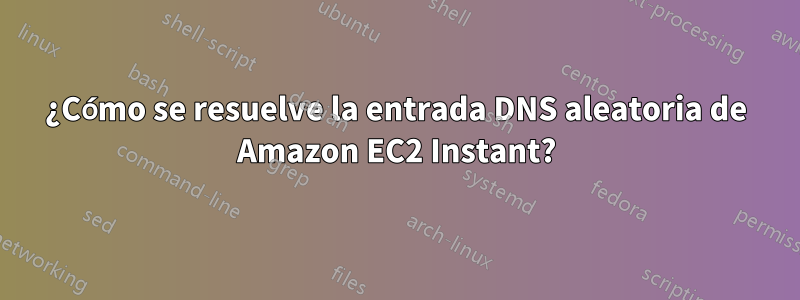 ¿Cómo se resuelve la entrada DNS aleatoria de Amazon EC2 Instant?