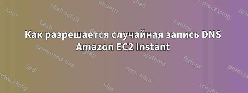 Как разрешается случайная запись DNS Amazon EC2 Instant