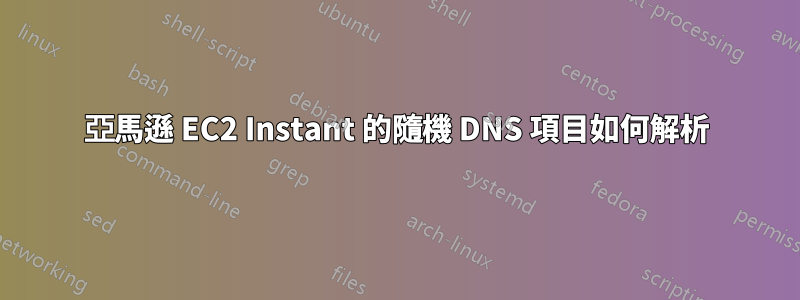 亞馬遜 EC2 Instant 的隨機 DNS 項目如何解析