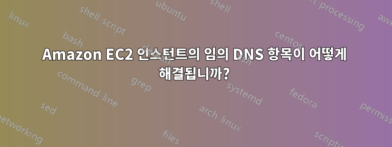 Amazon EC2 인스턴트의 임의 DNS 항목이 어떻게 해결됩니까?