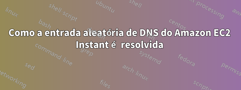 Como a entrada aleatória de DNS do Amazon EC2 Instant é resolvida