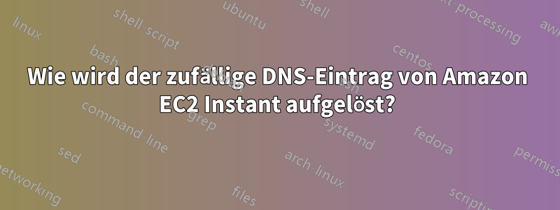 Wie wird der zufällige DNS-Eintrag von Amazon EC2 Instant aufgelöst?