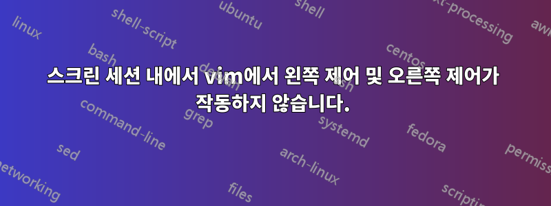 스크린 세션 내에서 vim에서 왼쪽 제어 및 오른쪽 제어가 작동하지 않습니다.