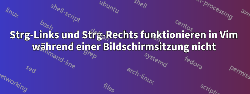 Strg-Links und Strg-Rechts funktionieren in Vim während einer Bildschirmsitzung nicht