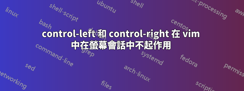 control-left 和 control-right 在 vi​​m 中在螢幕會話中不起作用