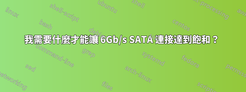 我需要什麼才能讓 6Gb/s SATA 連接達到飽和？