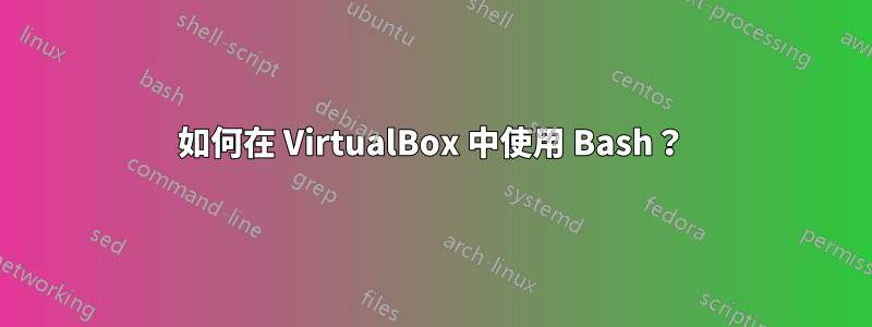 如何在 VirtualBox 中使用 Bash？