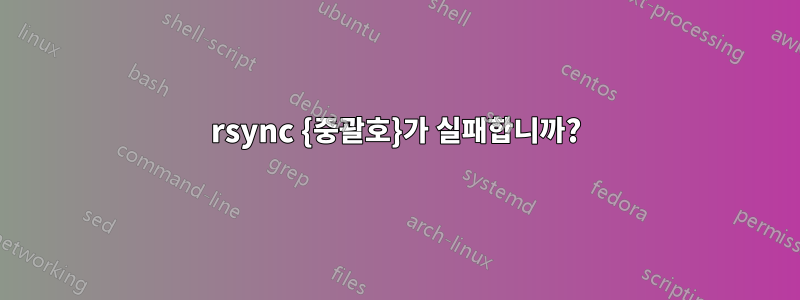 rsync {중괄호}가 실패합니까?