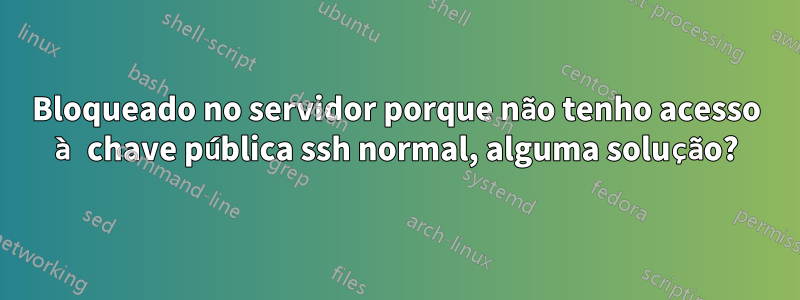 Bloqueado no servidor porque não tenho acesso à chave pública ssh normal, alguma solução?