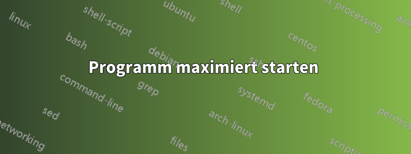 Programm maximiert starten