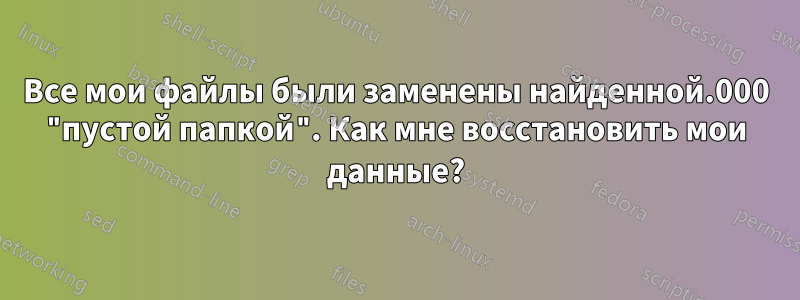 Все мои файлы были заменены найденной.000 "пустой папкой". Как мне восстановить мои данные?