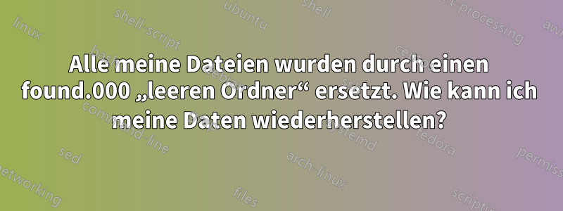 Alle meine Dateien wurden durch einen found.000 „leeren Ordner“ ersetzt. Wie kann ich meine Daten wiederherstellen?