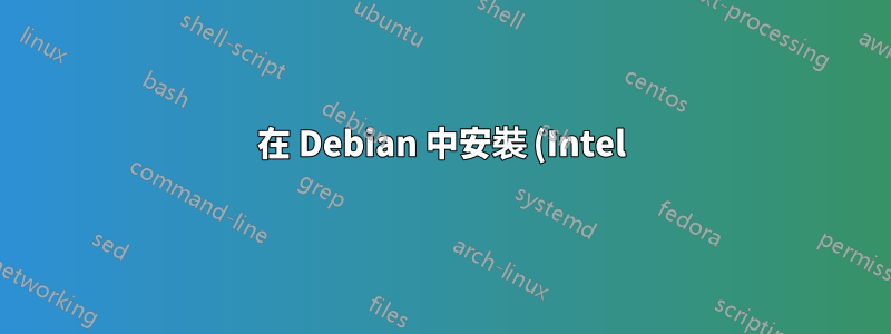 在 Debian 中安裝 (Intel) RAID 時出現問題