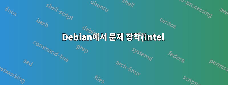 Debian에서 문제 장착(Intel) RAID