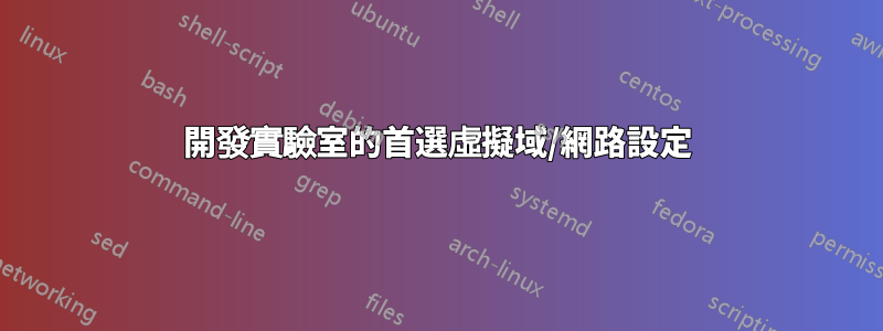 開發實驗室的首選虛擬域/網路設定