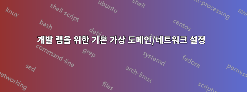 개발 랩을 위한 기본 가상 도메인/네트워크 설정 