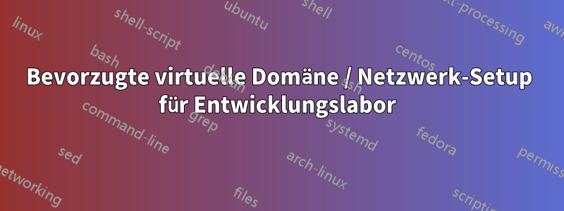 Bevorzugte virtuelle Domäne / Netzwerk-Setup für Entwicklungslabor 