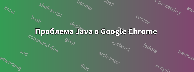 Проблема Java в Google Chrome