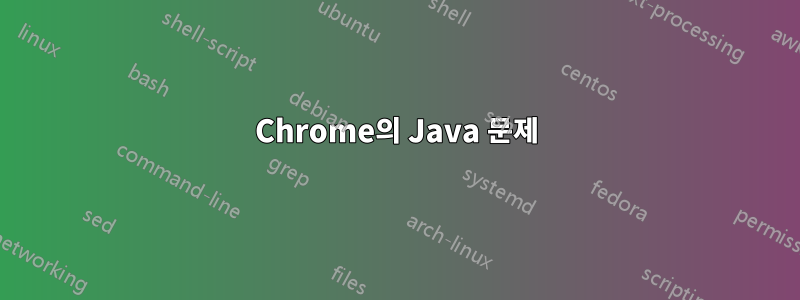 Chrome의 Java 문제