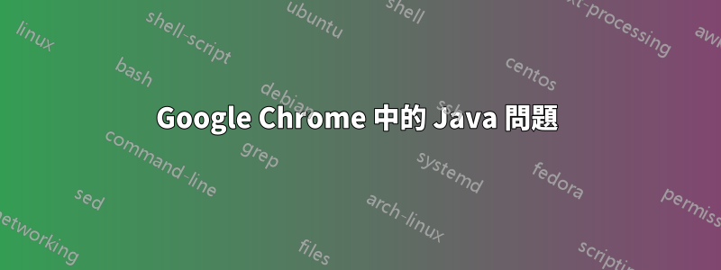 Google Chrome 中的 Java 問題