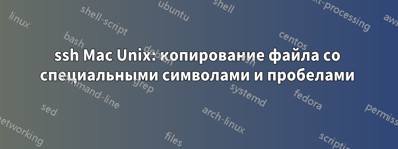 ssh Mac Unix: копирование файла со специальными символами и пробелами