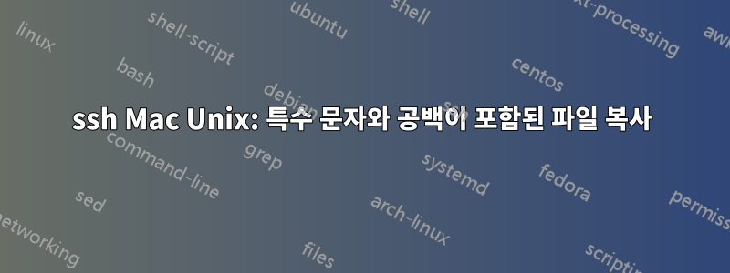 ssh Mac Unix: 특수 문자와 공백이 포함된 파일 복사