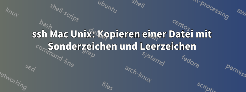 ssh Mac Unix: Kopieren einer Datei mit Sonderzeichen und Leerzeichen