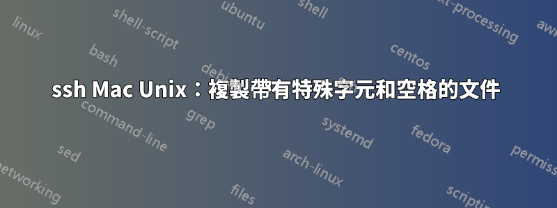 ssh Mac Unix：複製帶有特殊字元和空格的文件