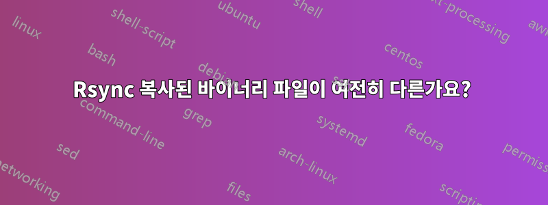 Rsync 복사된 바이너리 파일이 여전히 다른가요?