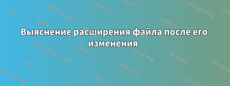 Выяснение расширения файла после его изменения 